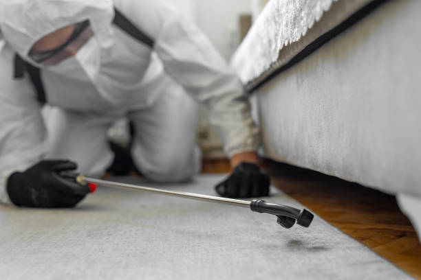 Professional Bed Bug Control technician working in Baidland, PA