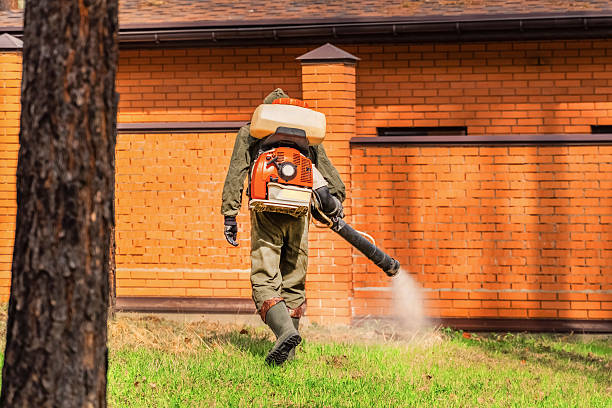 Top rated local Bed Bug Control specialists in Baidland, PA